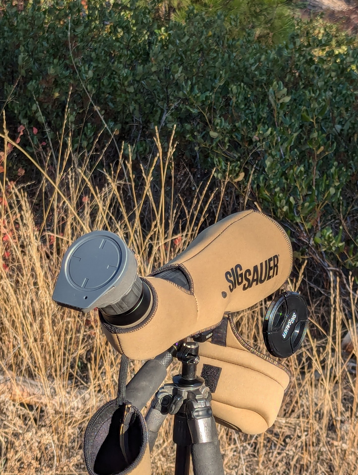 MagCover OG3.0